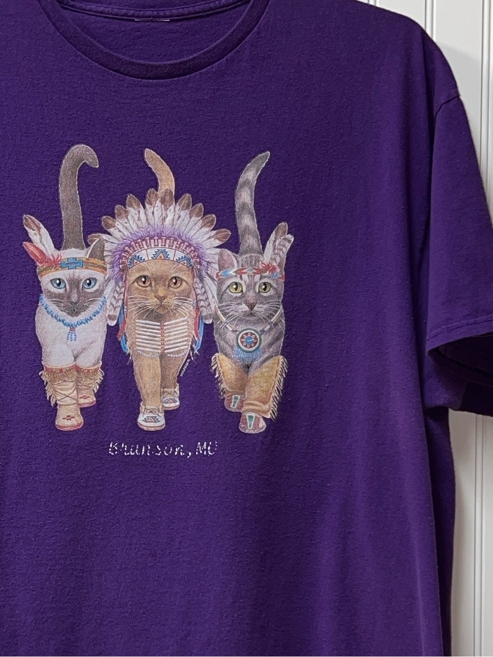 Y2K Native American Cats Shirt XL Vintage